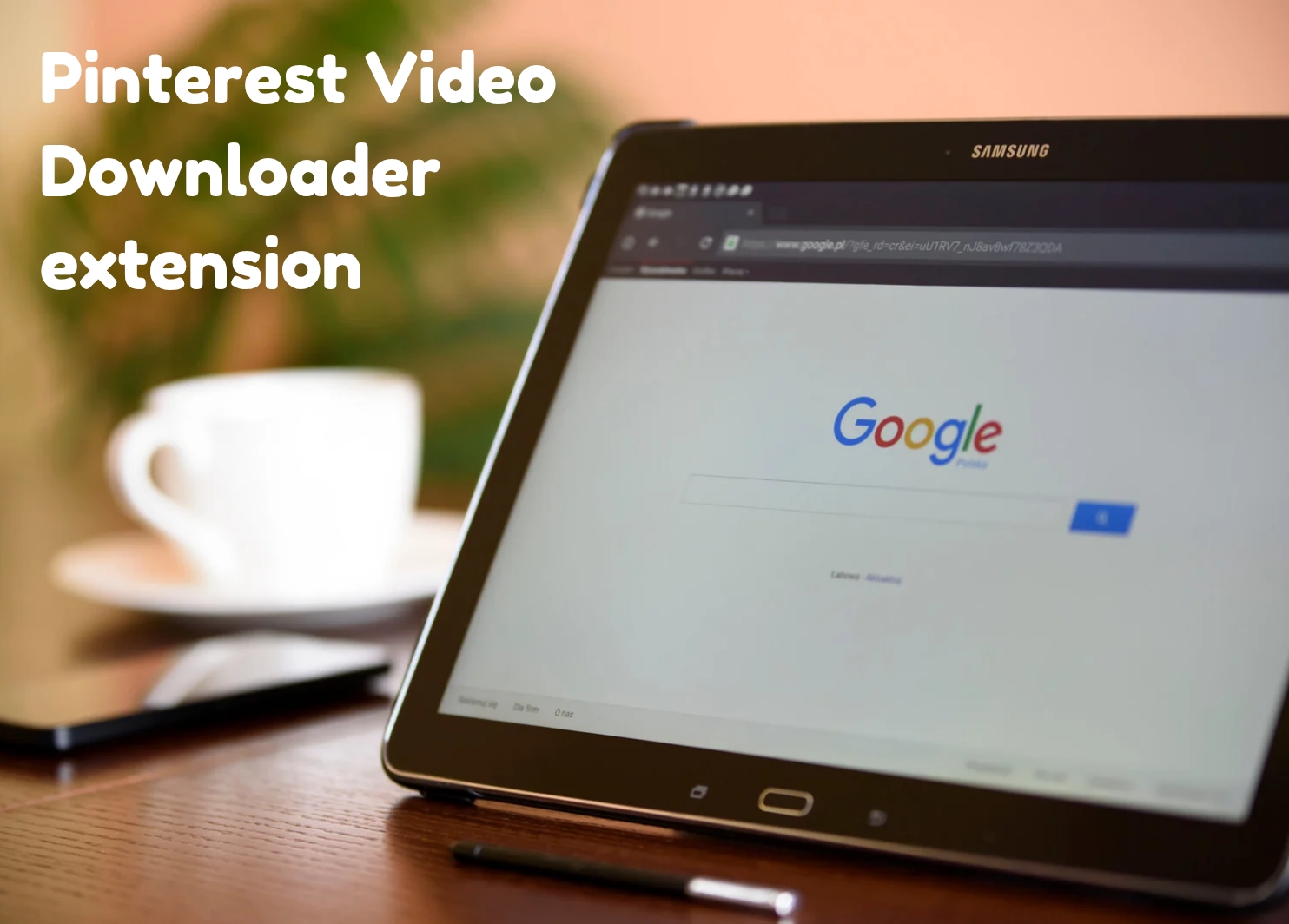 Pinterest Video Downloader Extension (Fast and Free Online)